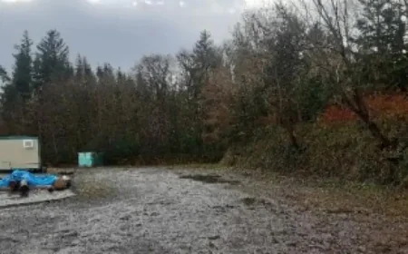 Donegal Town forest preschool with natural world ‘connection’ awarded planning, promising local jobs and nature-based learning