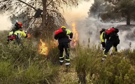 Murcia: Sierra Espuña Fire Escalates as Plan Infomur Level 2 Is Activated