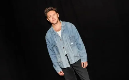 Niall Horan Chooses Quietly: How One Decision at His Shows Reveals a New Chapter