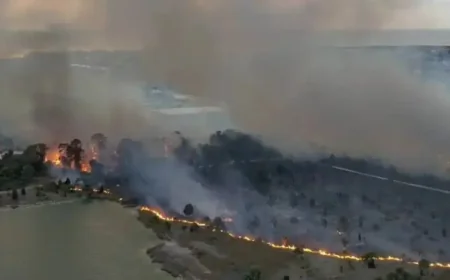 Shoal Line Fire as evacuations expand in Hernando County: what we know at 9:30PM ET