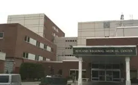 National Doctors Day and the drawings on the wall: a small celebration seen up close