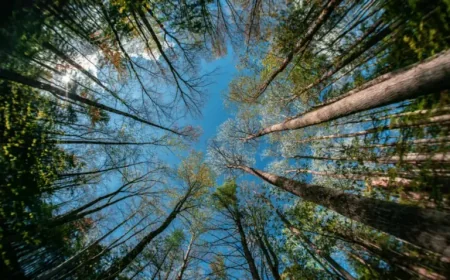 Earth Day as Earth Week 2026 approaches: Kawartha Lakes focuses on 20-minute action