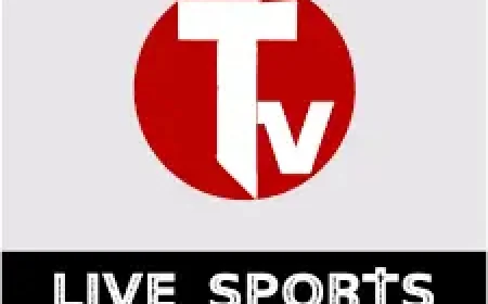 Csk Vs Rr: Rain in Guwahati Forces Covers on March 30 Match