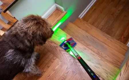 Save $150 on Dyson’s Irresistible PencilVac Fluffycones Today