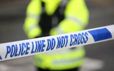 Hunting The Silver Killer: Where is the Silver Killer now?