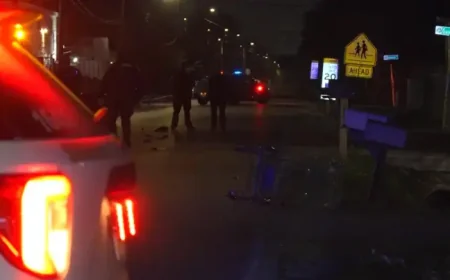 Auto Accident Lawyers Watch Closely as Deputies Probe Deadly Cloverleaf Hit-and-Run