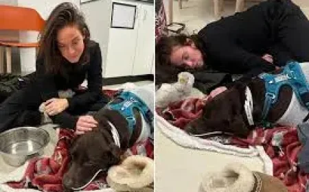 Vicky Pattison Reveals ‘Very Scary’ Ordeal as Rescued Dog Fights for Life — 5 Key Details