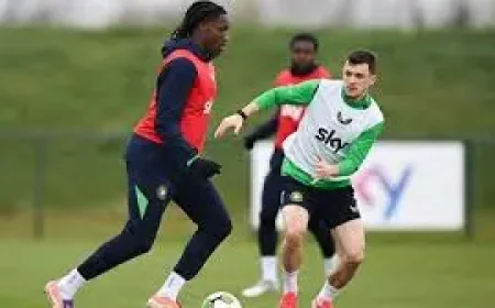 Ireland Vs North Macedonia: A fixture nobody wanted, and the voices that make it matter