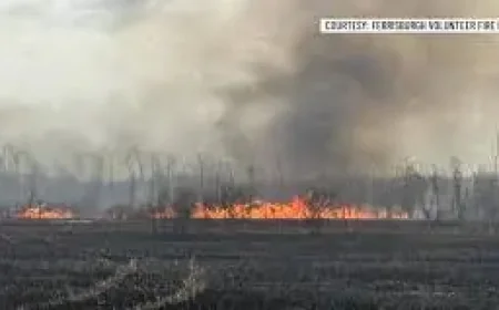 Wcax as the inflection point: Ferrisburgh brush fire draws multi-department response Monday evening