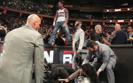 Wwe Raw Results: CM Punk Plants Roman Reigns Through a Table in MSG Shock