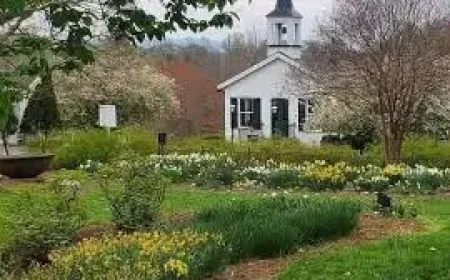 Va.gov: Lynchburg’s Old City Cemetery urges families to clear decorations for Clean-Up Week