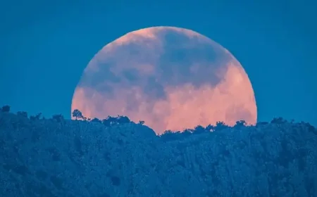 Full Moon April 2026: Exactly When To See The ‘Pink Moon’ Rise — Timings, Neighbors, and What to Watch