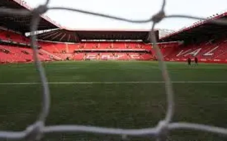 Lyndon Dykes: Charlton Move Reignited World Cup Bid — What Comes Next?