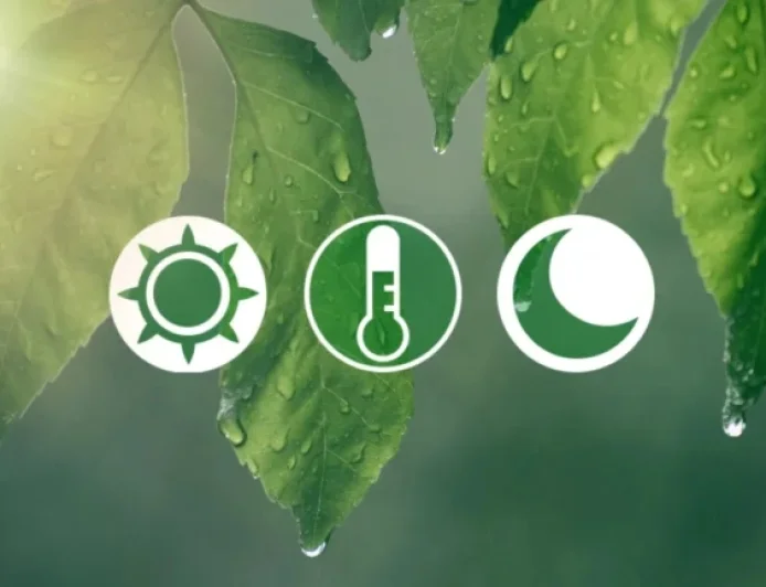 Choose Your Favorite Spring Date of Three Options