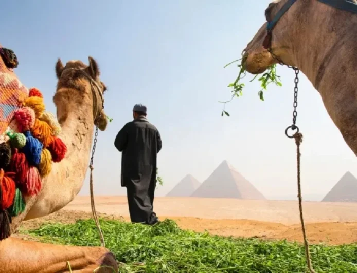 Current Travel Safety and Advice for Visiting Egypt