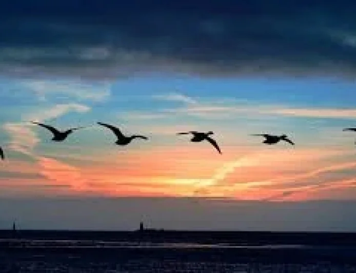 Weather Warning Ireland: Six Counties on Yellow Alert for Spot Flooding