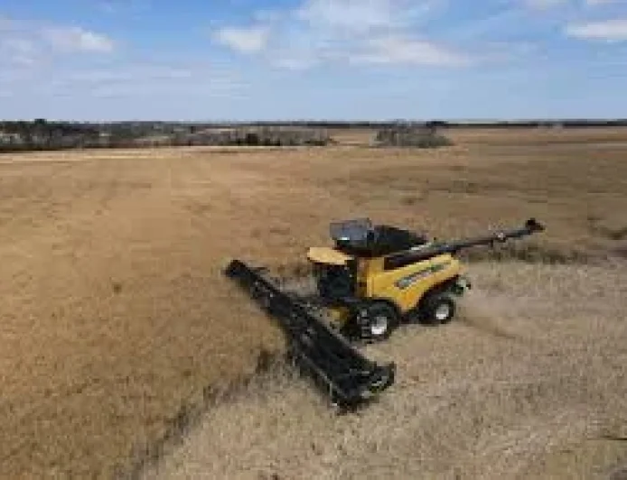 Kangaroo Island: Crop Farmers Well Placed as Parndana’s Wins Highlight Local Resilience