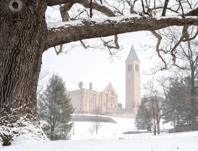 Cornell, the Price of a Master’s, and the Weeds That Won’t Die: Inside a Campus Question With Real-World Stakes
