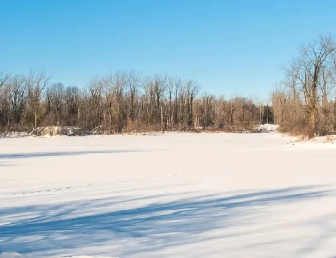Blainville Fauvel Lakes: Local tests expose an oxygen shortfall behind recent fish deaths