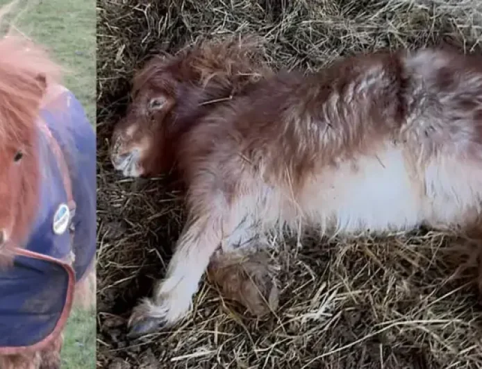 Jakarta: Central district flagged as the city’s densest area heading into 2026