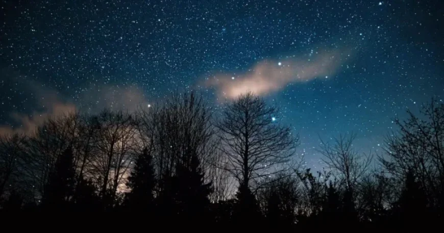 March 2026 Horoscope: Love, Opportunities, and Freedom for These 3 Zodiac Signs