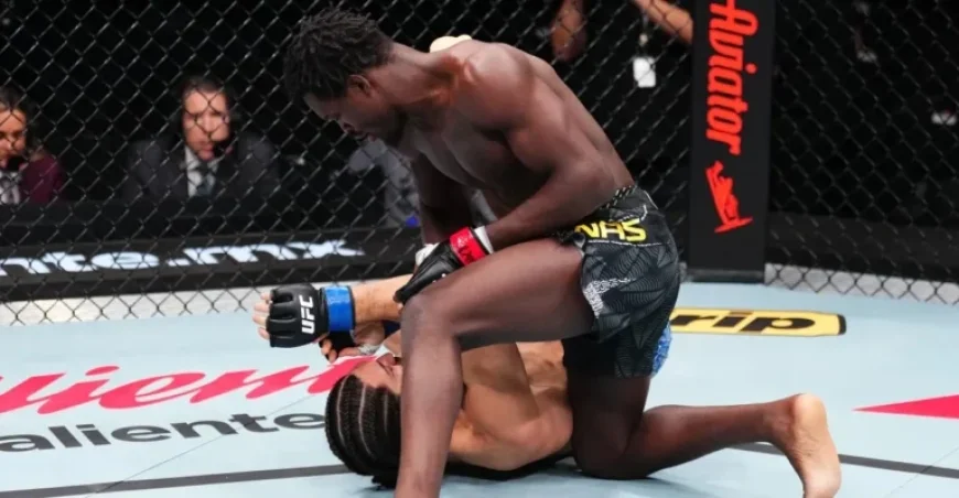 Damian Pinas Knocks Out Wes Schultz in Lightning-Fast UFC Mexico Win