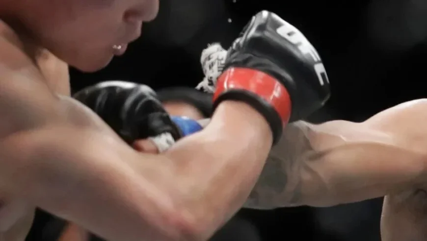 UFC Mexico: Predictions & Odds for Santiago Luna vs. Ángel Pacheco