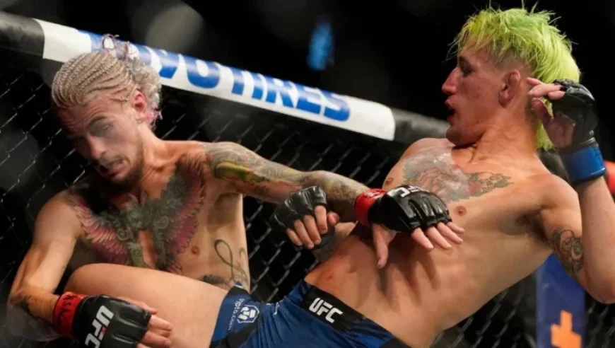 UFC Mexico: Quinonez Battles Moutinho – Predictions and Betting Odds