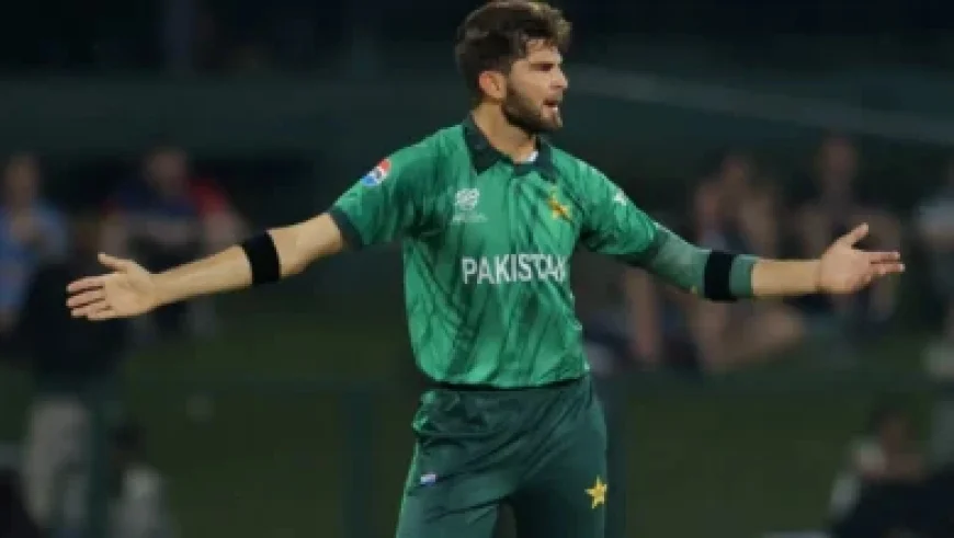 February 28 Matchup: Team Takes on Detroit