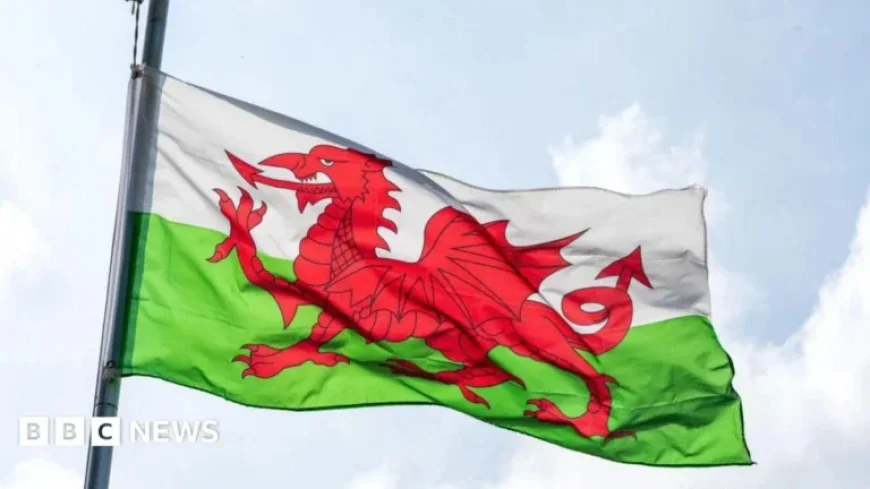 Regional Celebrations Mark St David’s Day