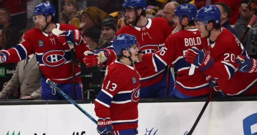 Bolduc Returns, Dobes Guarding the Net