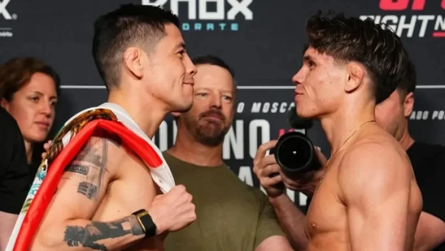 Comprehensive Round-by-Round Fight Coverage and Results