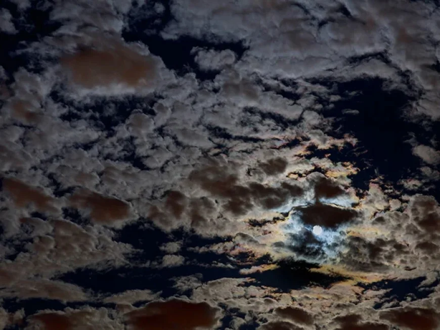 Evening Clouds at 55°F, Daytime Peaks at 75°F