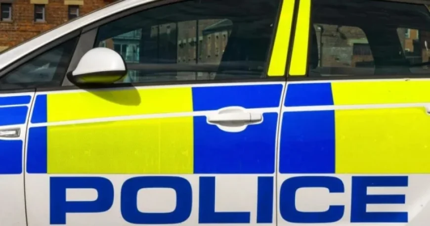 Speeding, Unlicensed Drivers Face Charges for Lacking Insurance and Tax Compliance