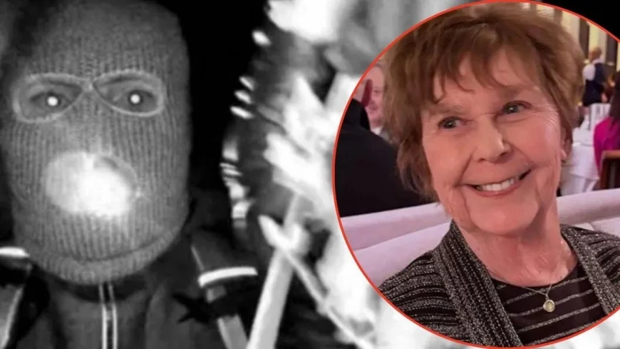 Nancy Guthrie Update Today: Day 29 — Expert Says "This Is No Longer a Rescue Mission," Reese Witherspoon and Halle Berry Join Savannah's Plea