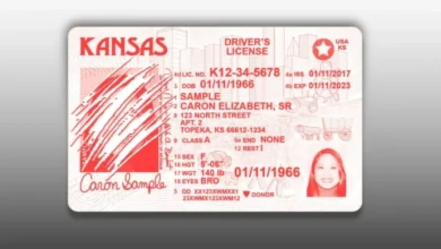 Oral Roberts vs. Kansas City: Odds, Expert Picks, and Game Analysis for Saturday