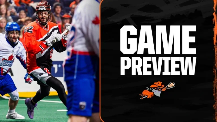 Buffalo Bandits vs. Rock: Watch Live, Lineup Insights, Key Storylines