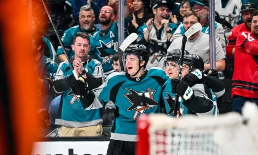 Misa Thriving in NHL: Sharks Locker Room Update
