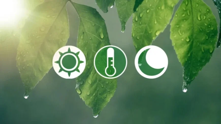 Choose Your Favorite Spring Date of Three Options