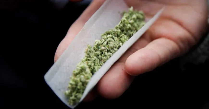 Supreme Court Reviews Law Restricting Gun Ownership for Drug Users