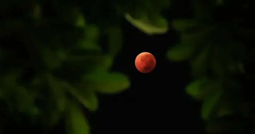 ‘Blood Moon to Illuminate Canadian Skies Overnight, NASA Reports’