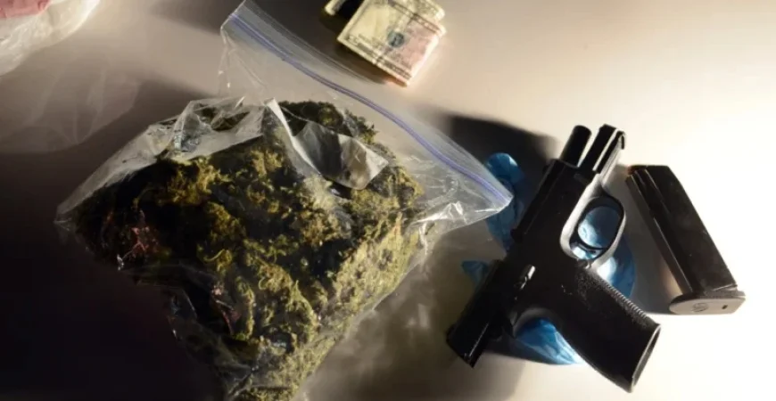 Supreme Court Poised to Allow Gun Ownership for Cannabis Users in US v. Hemani