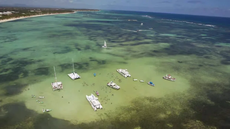 Canadian Tourists Involved in Dominican Republic Bus Crash: Embassy Reports