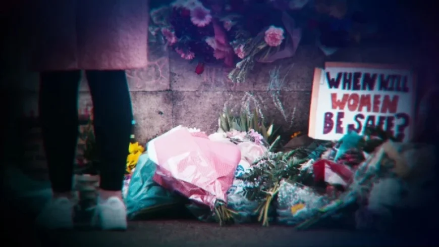 The Harsh Reality: Police Challenges with Rape and Sexual Offenses