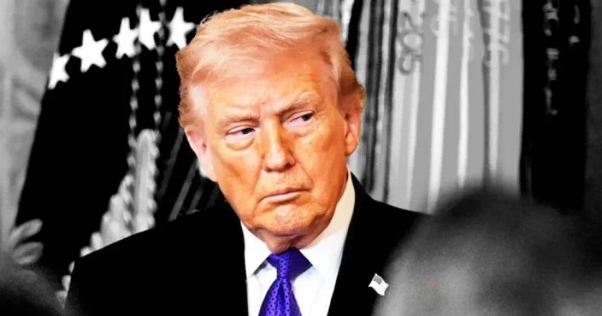 Donald Trump Criticizes Prominent MAGA Figures in Escalating Conflict