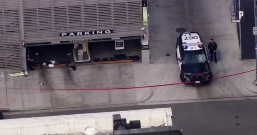 1 Dead, 2 Injured in Shooting at Long Beach Marathon Burger Opening