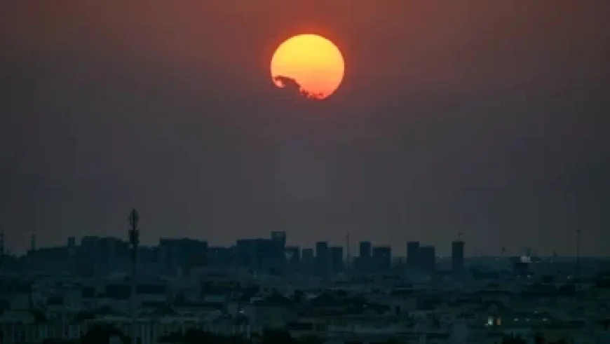Mariners’ Naylor Leads Team Canada as World Baseball Classic Captain