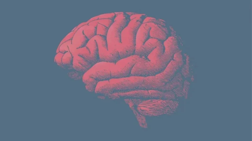 UniQure’s Huntington’s Therapy Fails to Convince Agency of Benefits