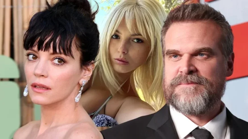 David Harbour’s Associate Ejected from Lily Allen Producer’s Party