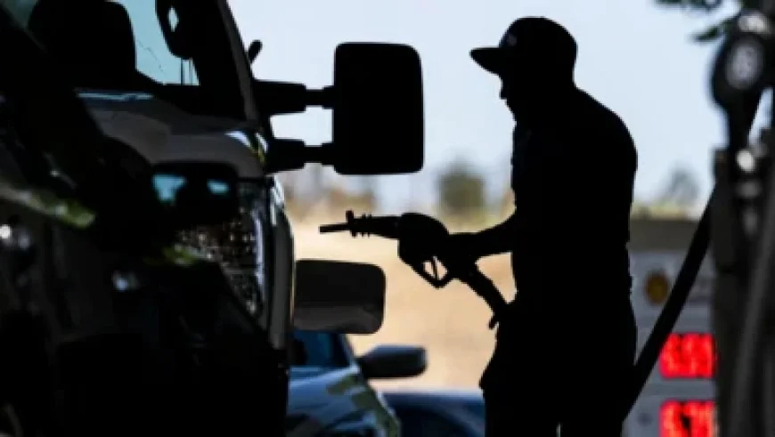 Texas Governor Race: Meet Greg Abbott’s Challengers